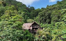 Finca La Selvita Chocolate experience
